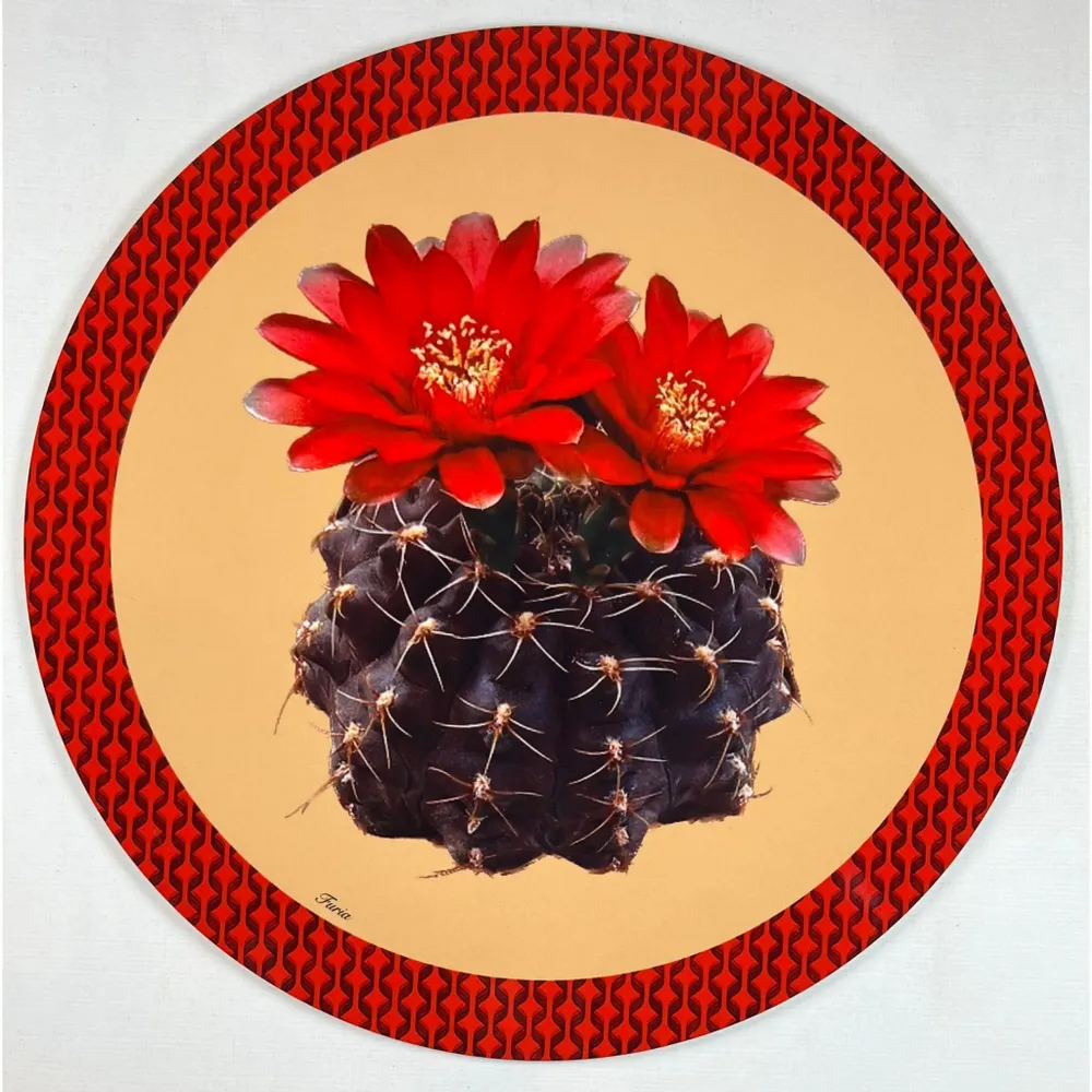 Sets de table - Sets de table - Cactus Sottopiatto Rotondo - #06 - FURIA LIVING