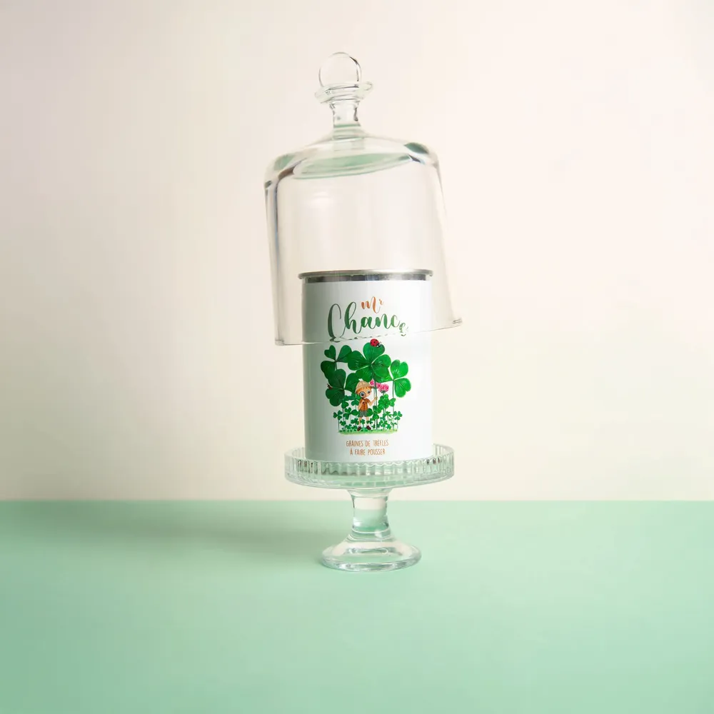 Gifts - Sowing kit\" Mr Chance\ " - MAUVAISES GRAINES