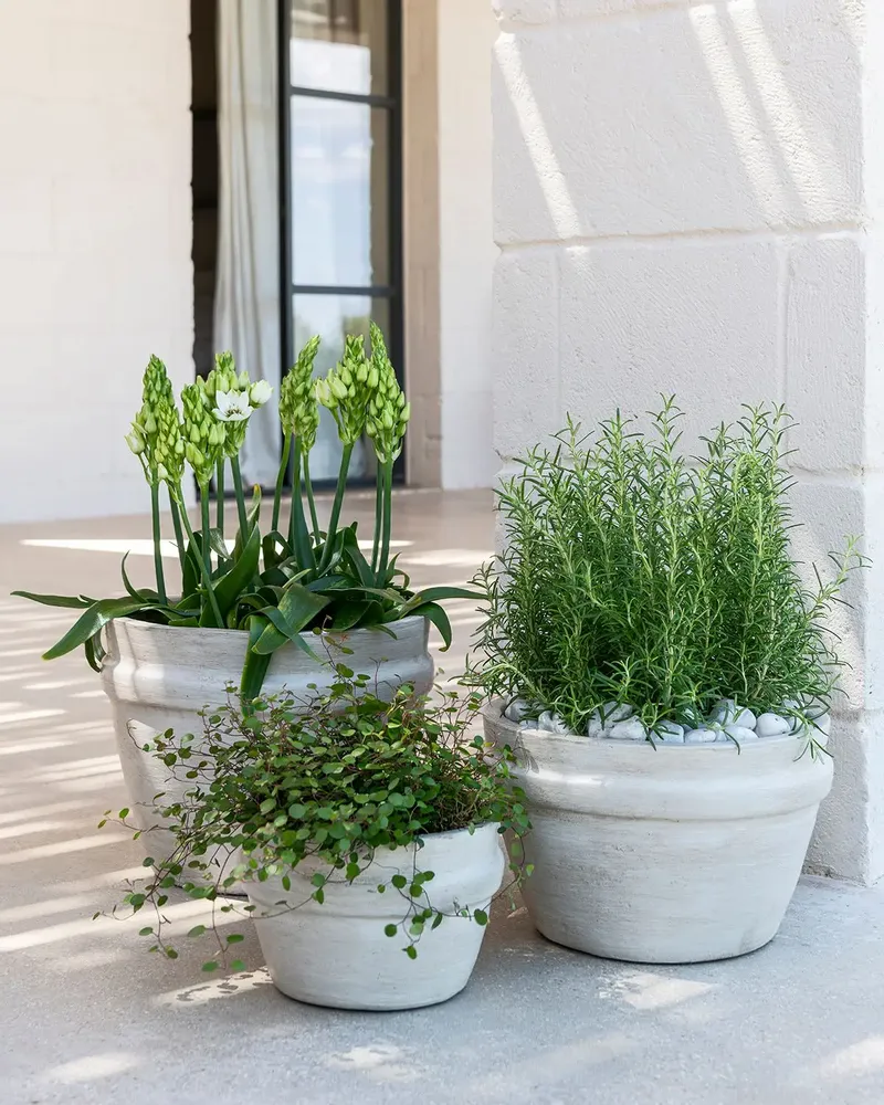 Céramique - Bowl Santiago - GOMMAIRE