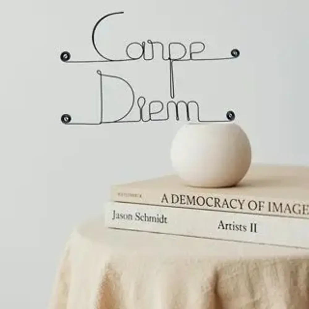 Autres décorations murales - Décoration Murale en Fil de Fer "Carpe Diem" - à punaiser - BIJOUX DE MUR