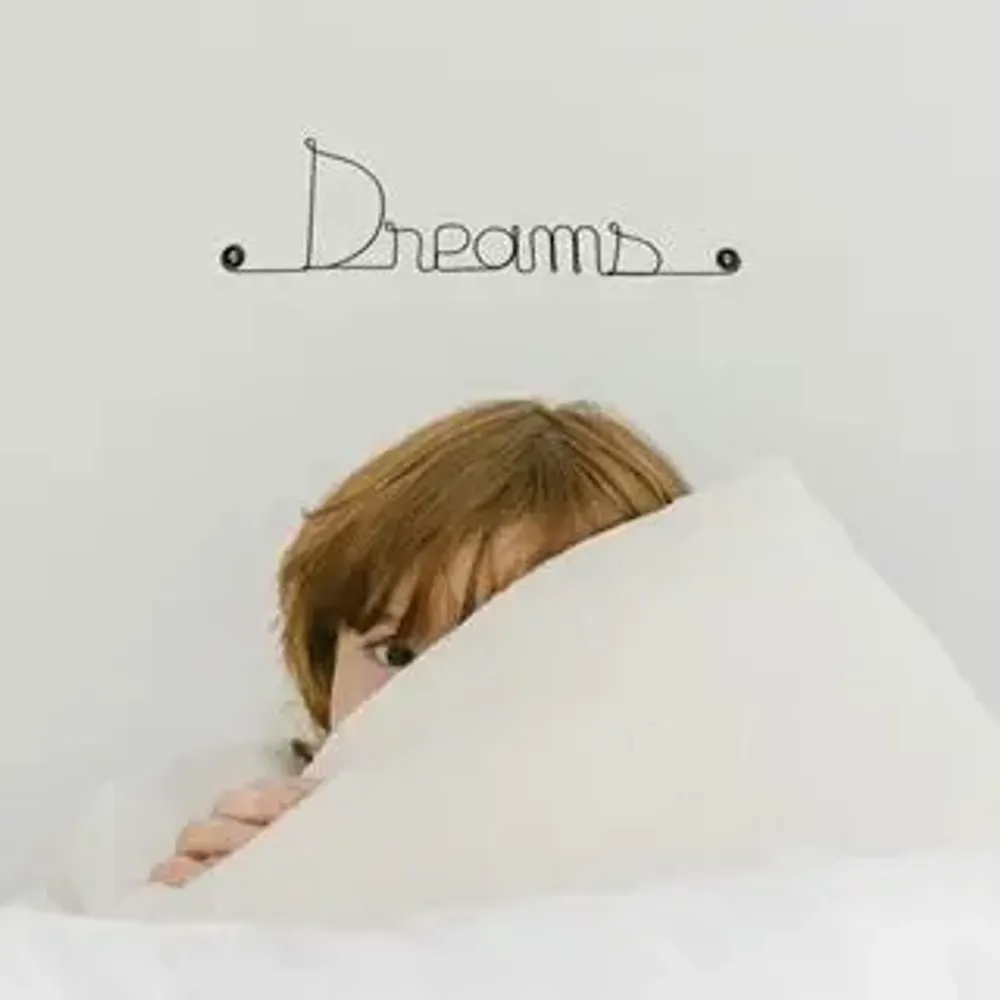 Autres décorations murales - Décoration Murale en Fil de Fer "Dreams" - à punaiser - Bijoux de Mur - BIJOUX DE MUR