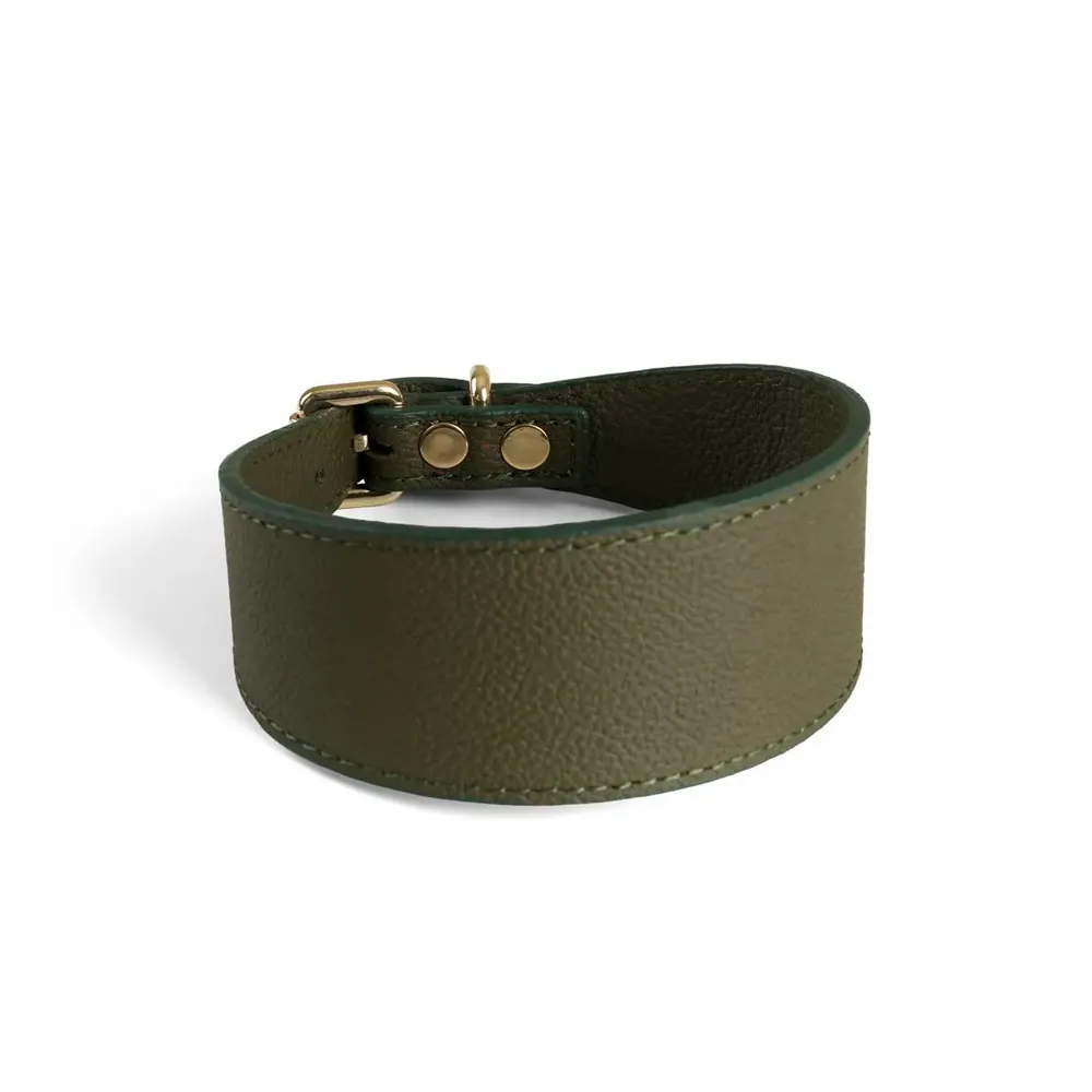 Pet accessories - Poco a Poco Dog Collar - UN POCO