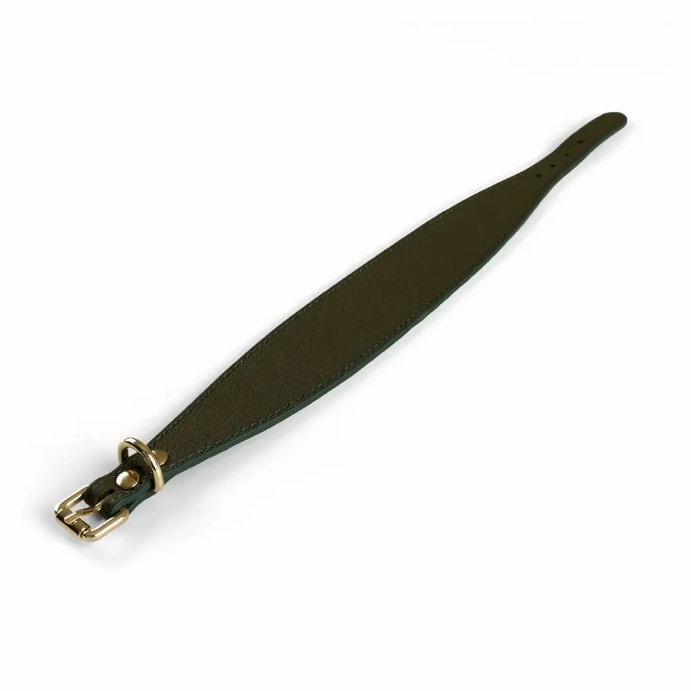 Pet accessories - Poco a Poco Dog Collar - UN POCO