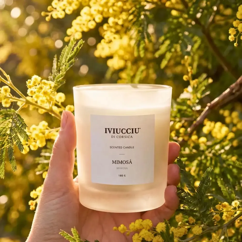 Candles - Mimosa Candle - IVIUCCIU DI CORSICA