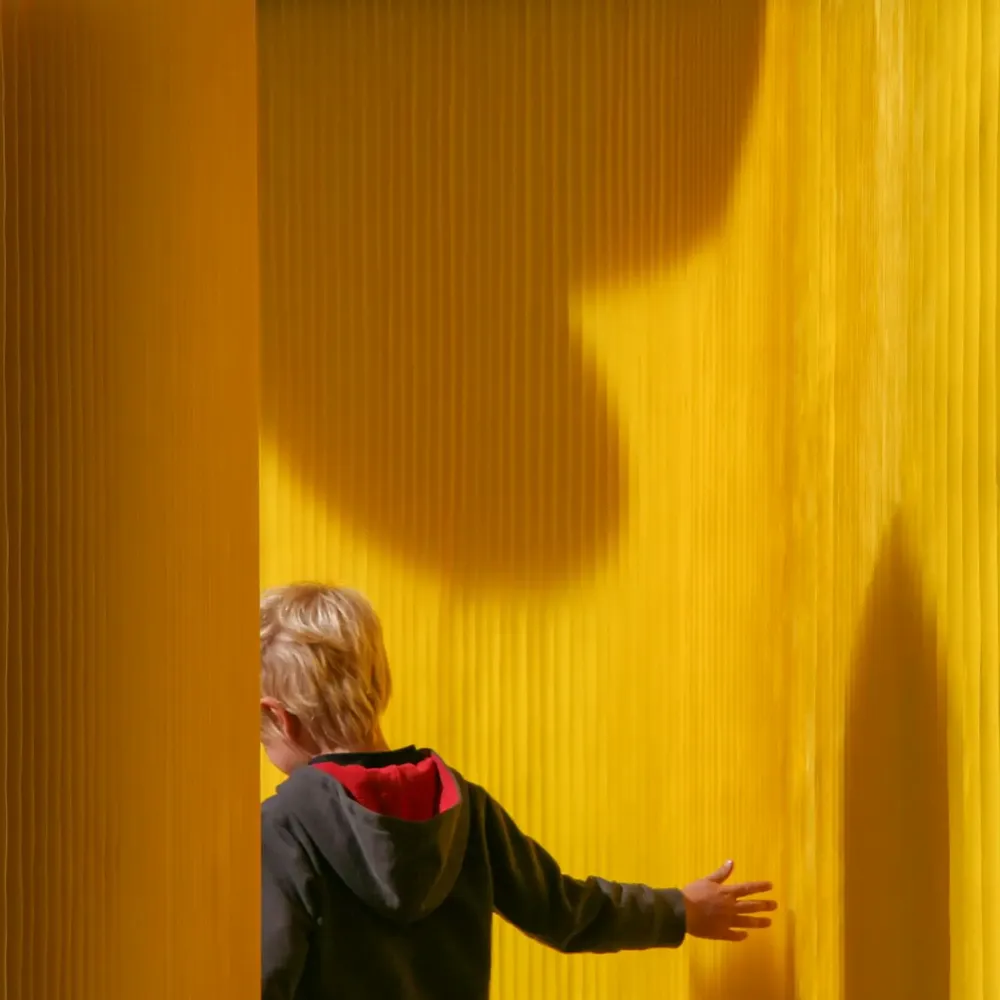 Office design and planning - custom colour textile softwall | flexible freestanding partition - MOLO