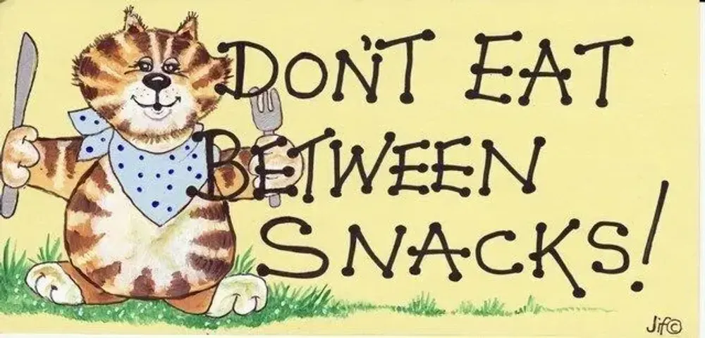 Panneaux séparateurs - Ne mangez pas entre les collations. - SOMETHING DIFFERENT WHOLESALE