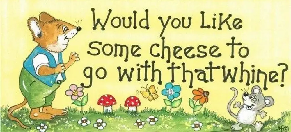 Panneaux séparateurs - Voulez-vous du fromage ? - SOMETHING DIFFERENT WHOLESALE