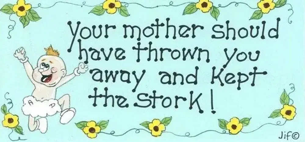 Panneaux séparateurs - Ta mère aurait dû - SOMETHING DIFFERENT WHOLESALE