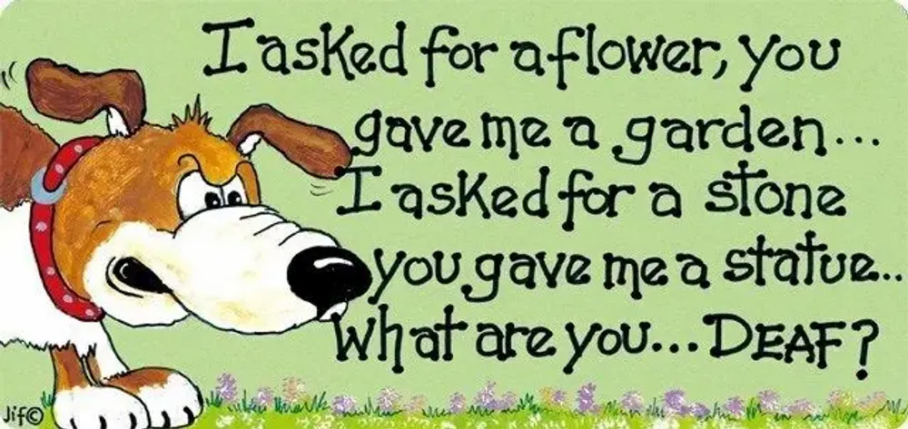 Panels - I Asked For A Flower - SOMETHING DIFFERENT WHOLESALE