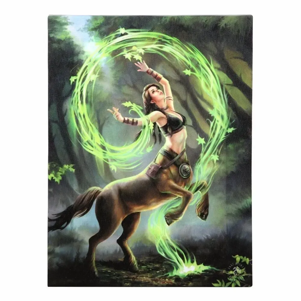 Decorative objects - 19x25cm Earth Element Sorceress Canvas Plaque by Anne Stokes - SOMETHING DIFFERENT WHOLESALE