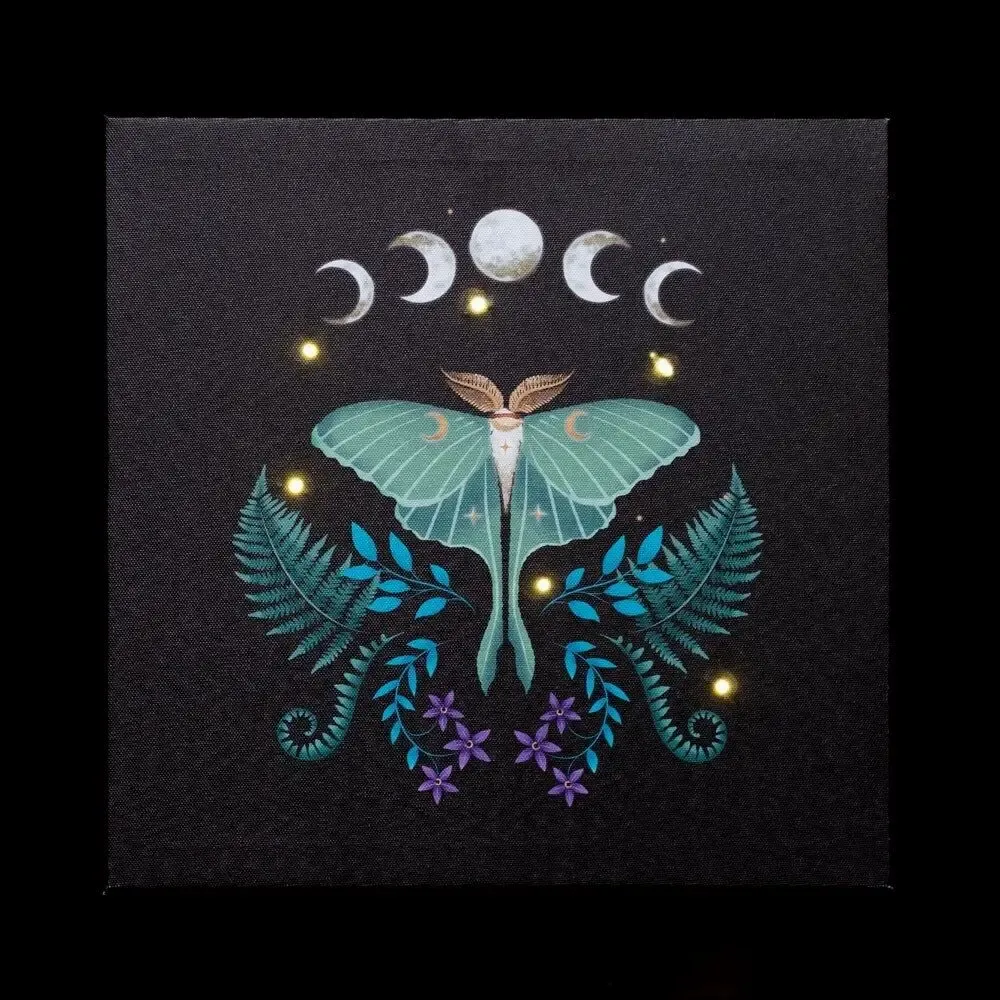 Decorative objects - Luna Moth Light Up Canvas Plaque - SOMETHING DIFFERENT WHOLESALE