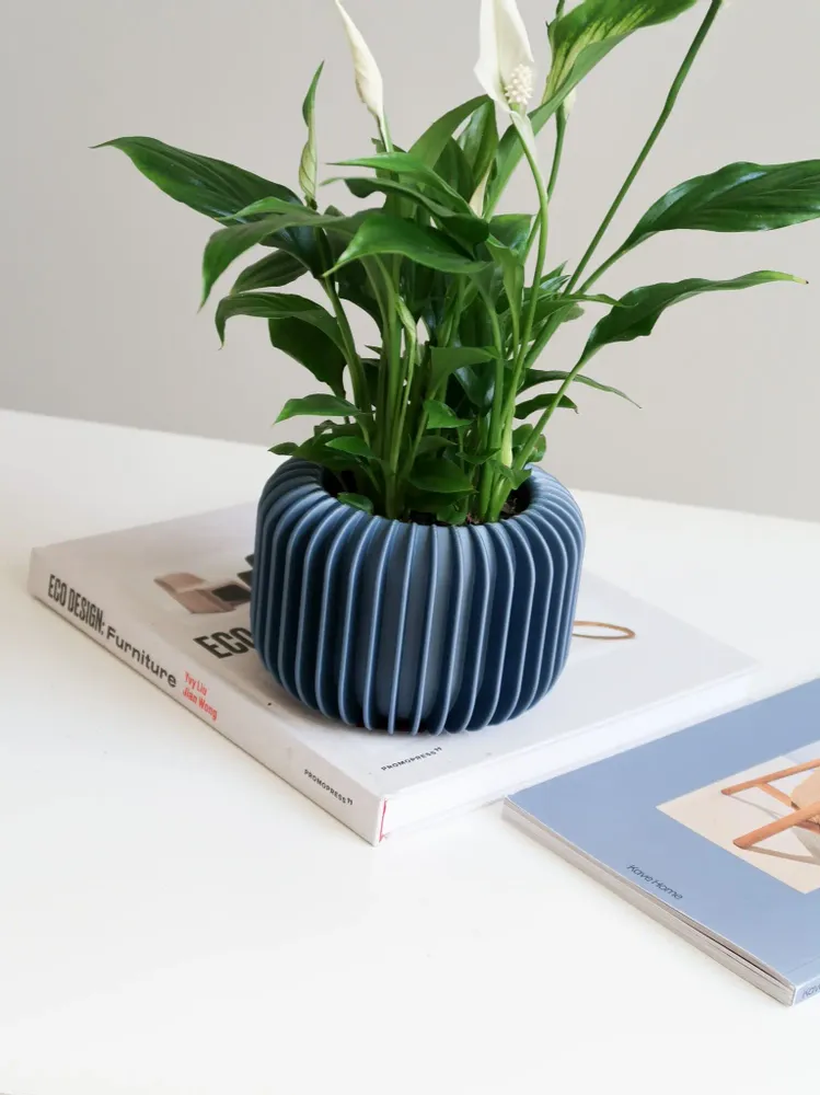 Décorations florales - JARDINIÈRE D'INTÉRIEUR - VORENA SUSTAINABLE DESIGN - MENDELEK STUDIO