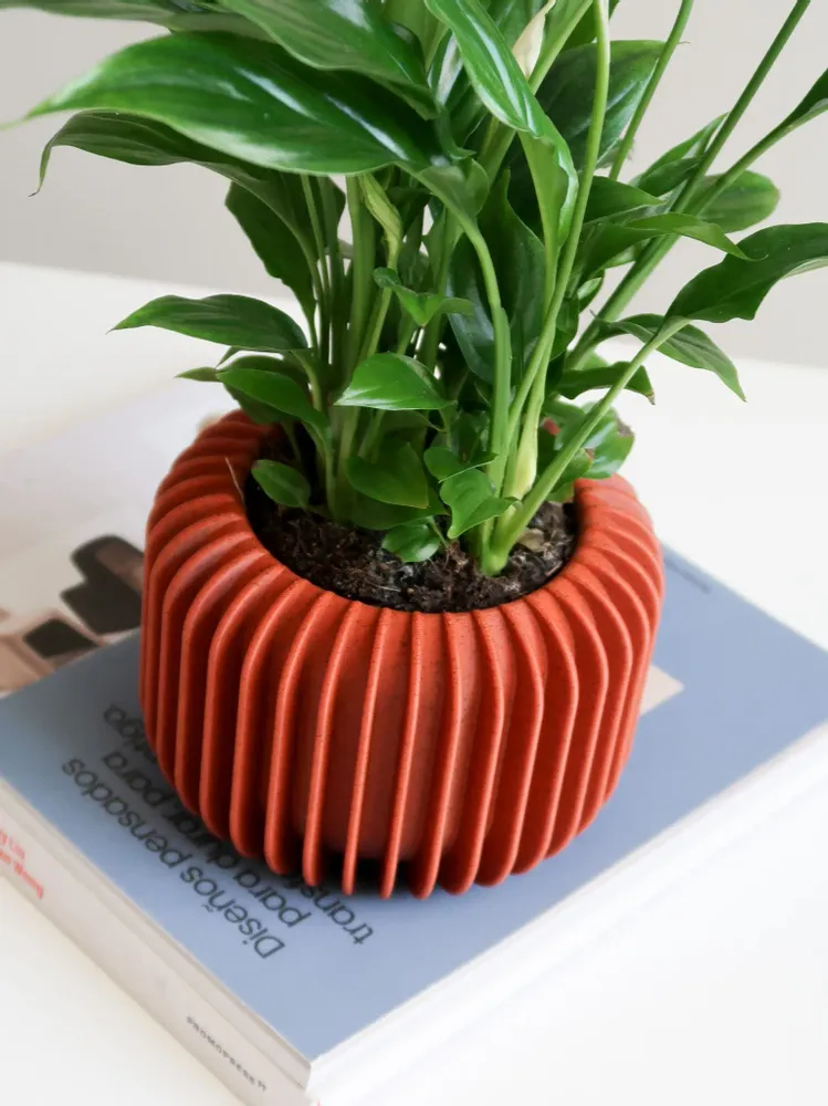 Décorations florales - JARDINIÈRE D'INTÉRIEUR - VORENA SUSTAINABLE DESIGN - MENDELEK STUDIO