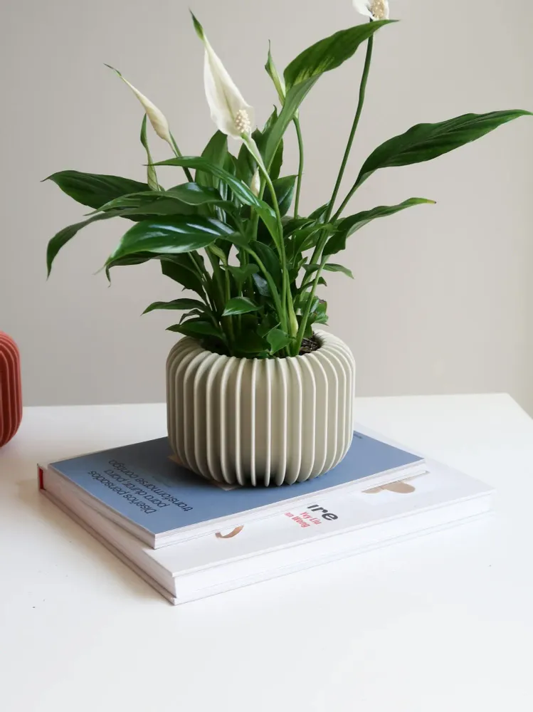 Décorations florales - JARDINIÈRE D'INTÉRIEUR - VORENA SUSTAINABLE DESIGN - MENDELEK STUDIO