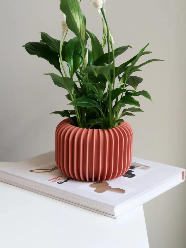 Décorations florales - JARDINIÈRE D'INTÉRIEUR - VORENA SUSTAINABLE DESIGN - MENDELEK STUDIO