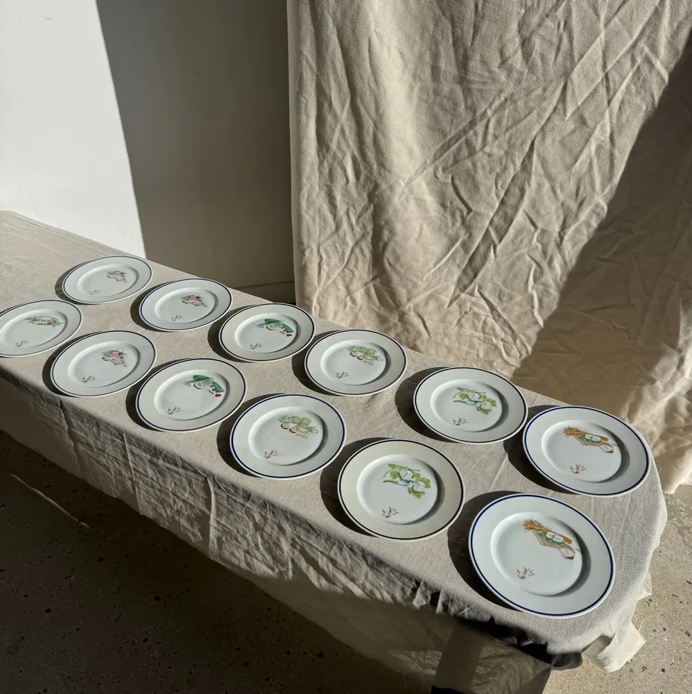 Everyday plates - Set of 12 France Chavroux 90s cheese plates D 21.5 - OFFICE OBJETS