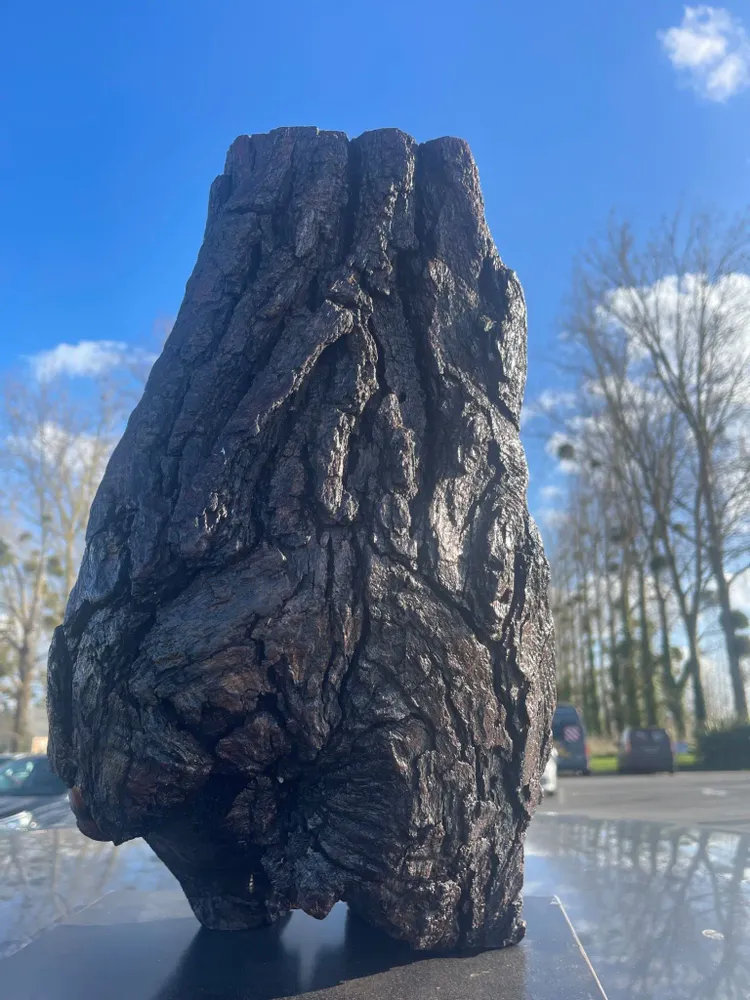 Sculptures, statuettes et miniatures - LE NID - HÉVÉA HOUSE