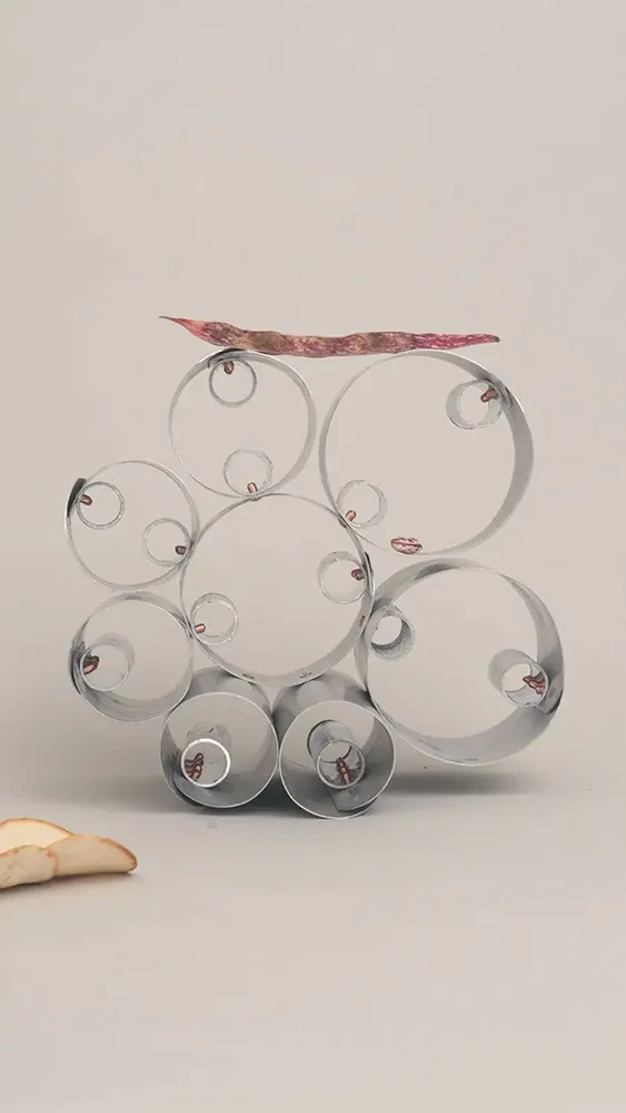 Organizer - ENZO VINCENZO - ELEIT.IT