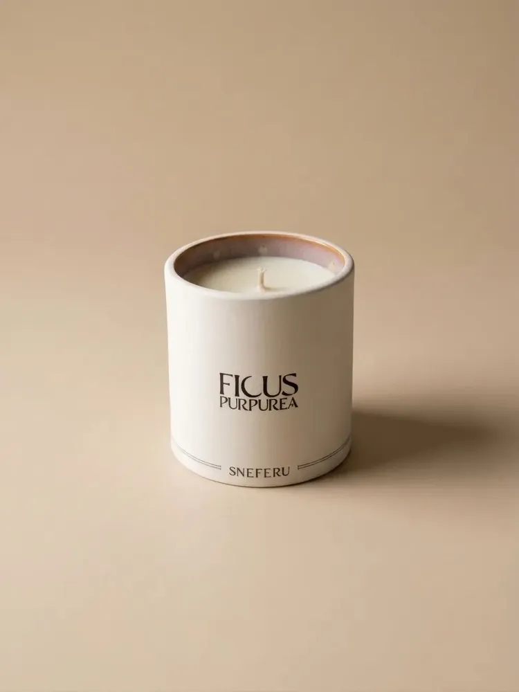 Bougies - Bougie de Luxe Parfumée Ficus Purpurea 200 g - SNEFERU