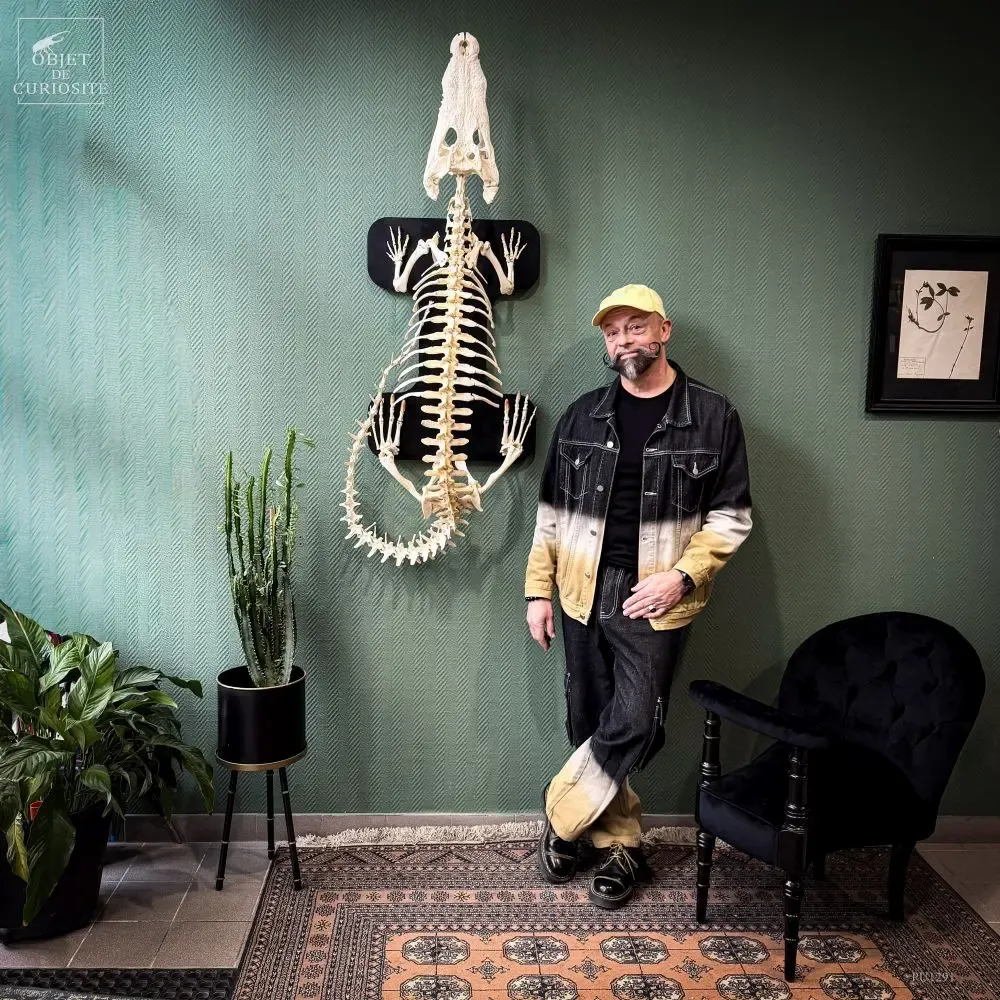 Decorative objects - Our collection of exceptional pieces - OBJET DE CURIOSITÉ