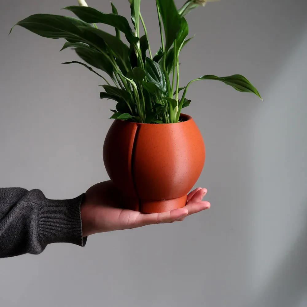 Floral decoration - INDOOR PLANTER WITH SAUCER  - ORBELLE OVAL - MENDELEK STUDIO