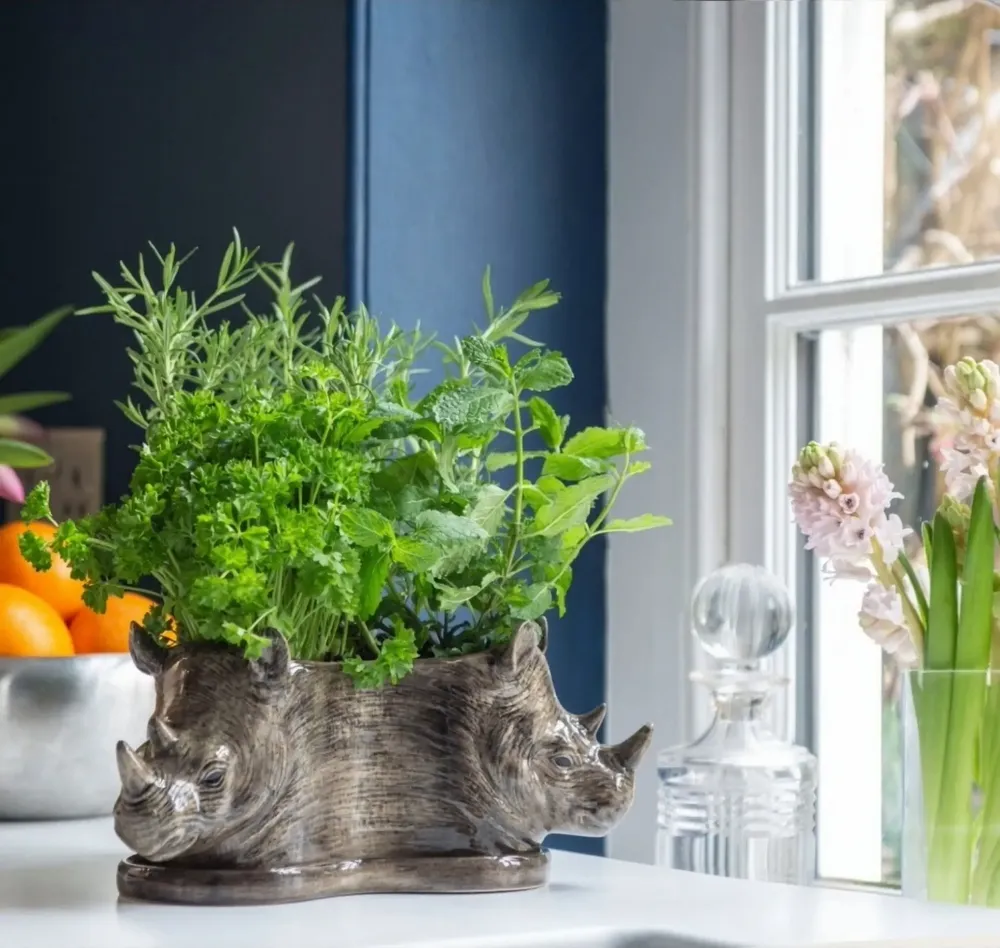 Vases - Tri-jardinière - QUAIL DESIGNS EUROPE BV