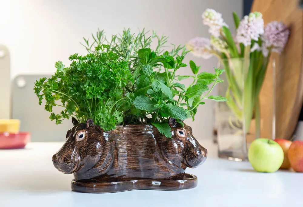 Vases - Tri-jardinière - QUAIL DESIGNS EUROPE BV