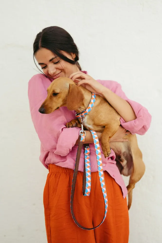 Accessoires animaux - BROTT - BAZAR BUM BUM