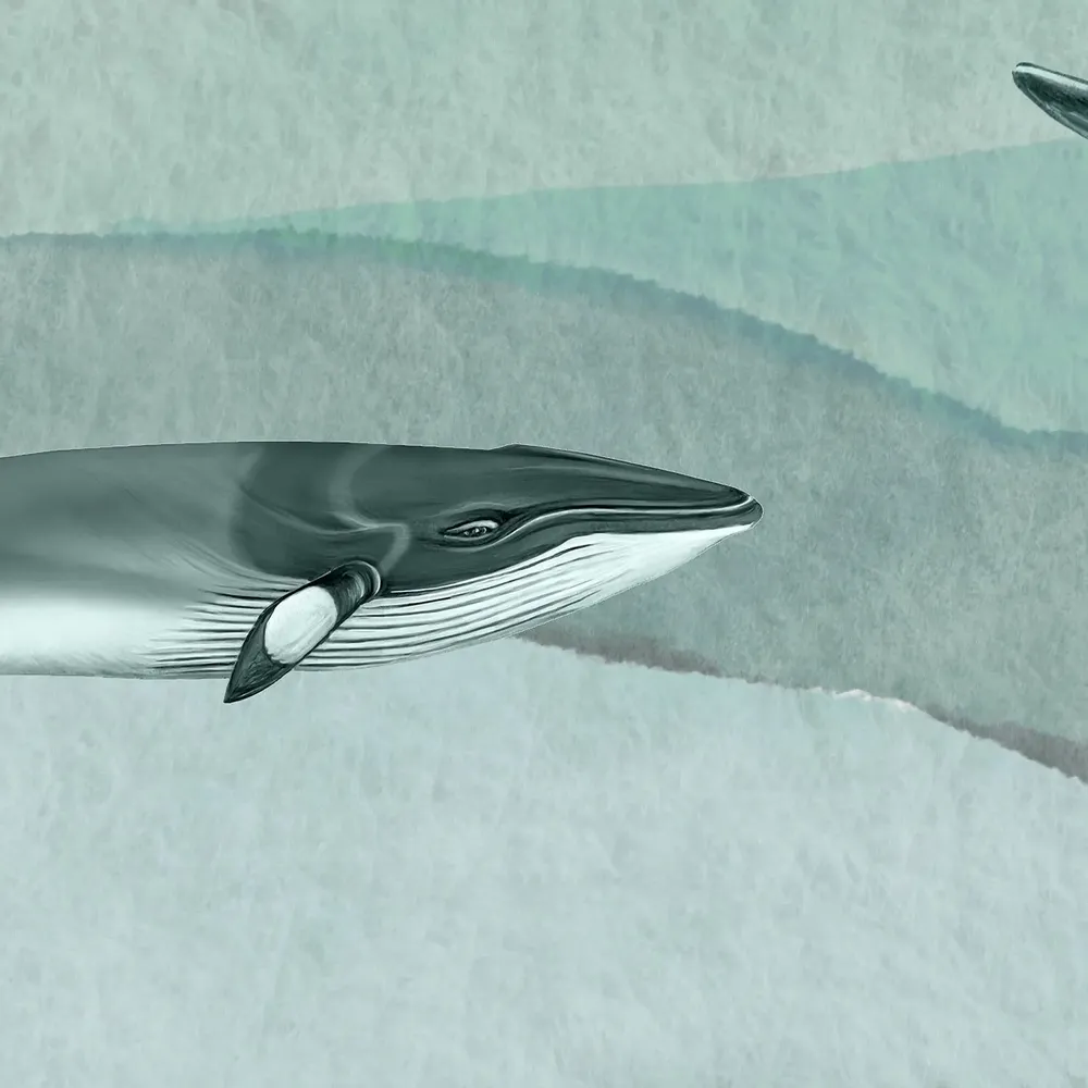 Tapisseries - Papier peint panoramique Moby Kid - LE PAPIERS DE NINON