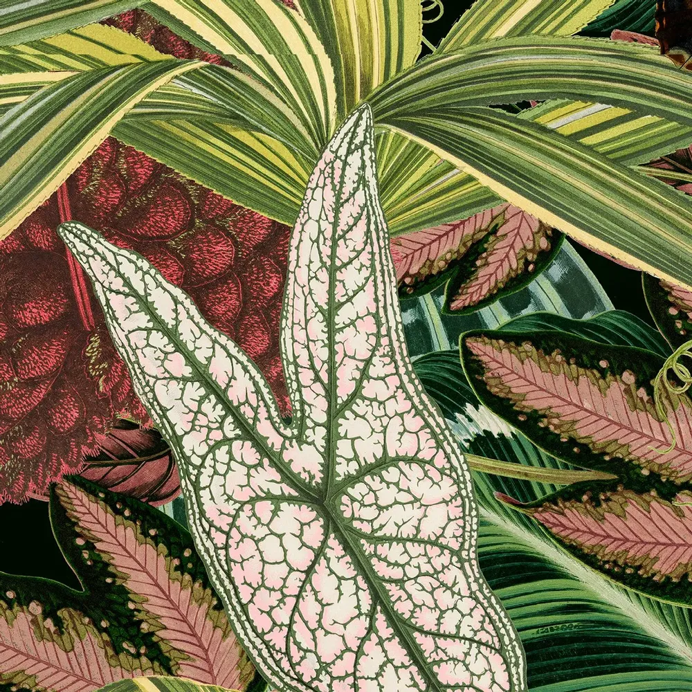 Tapisseries - Papier peint panoramique La Main Verte - LE PAPIERS DE NINON