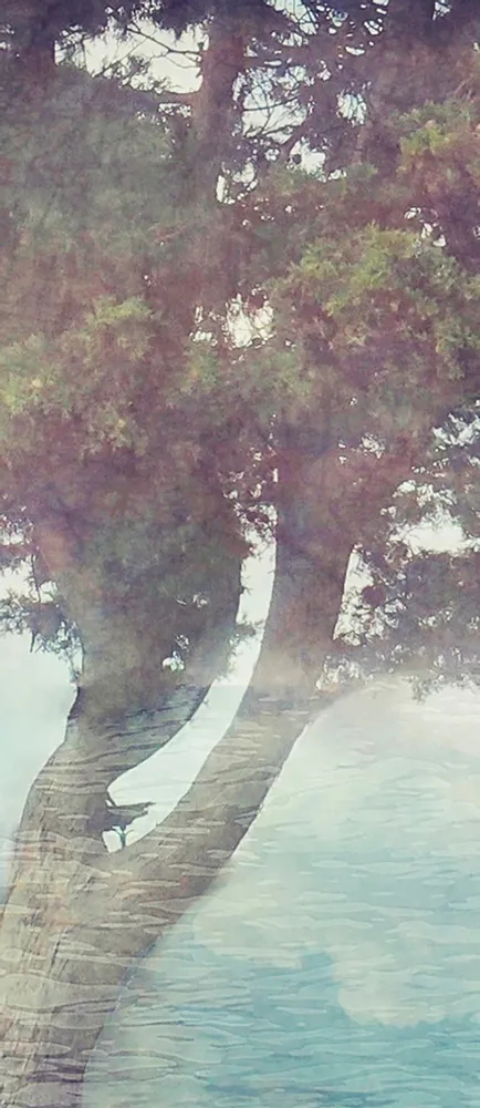 Tapisseries - Papier peint panoramique Misty Tree - LE PAPIERS DE NINON