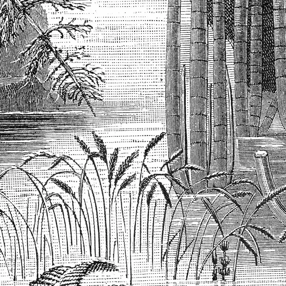 Tapisseries - Papier peint panoramique Semaya - LE PAPIERS DE NINON