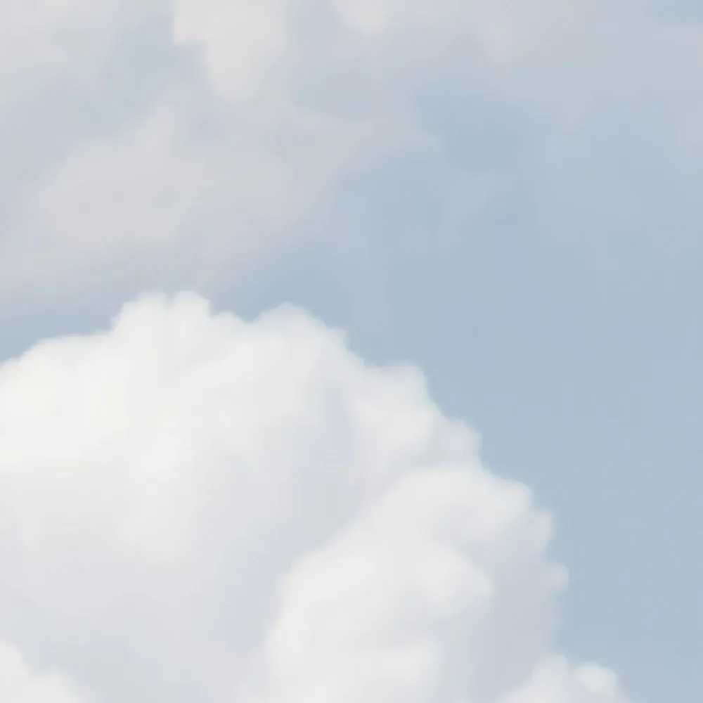 Tapisseries - Papier peint panoramique Songeen - LE PAPIERS DE NINON