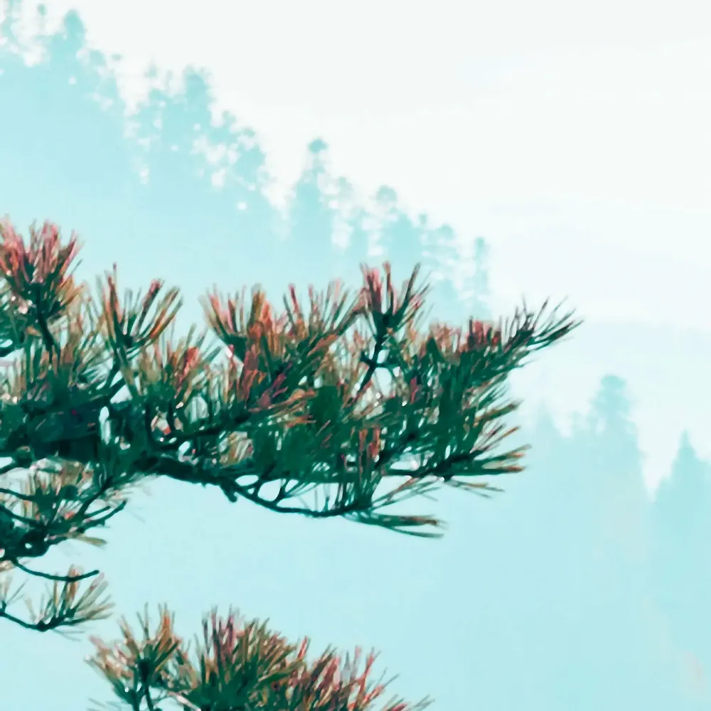 Tapestries - Armani panoramic wallpaper - LE PAPIERS DE NINON