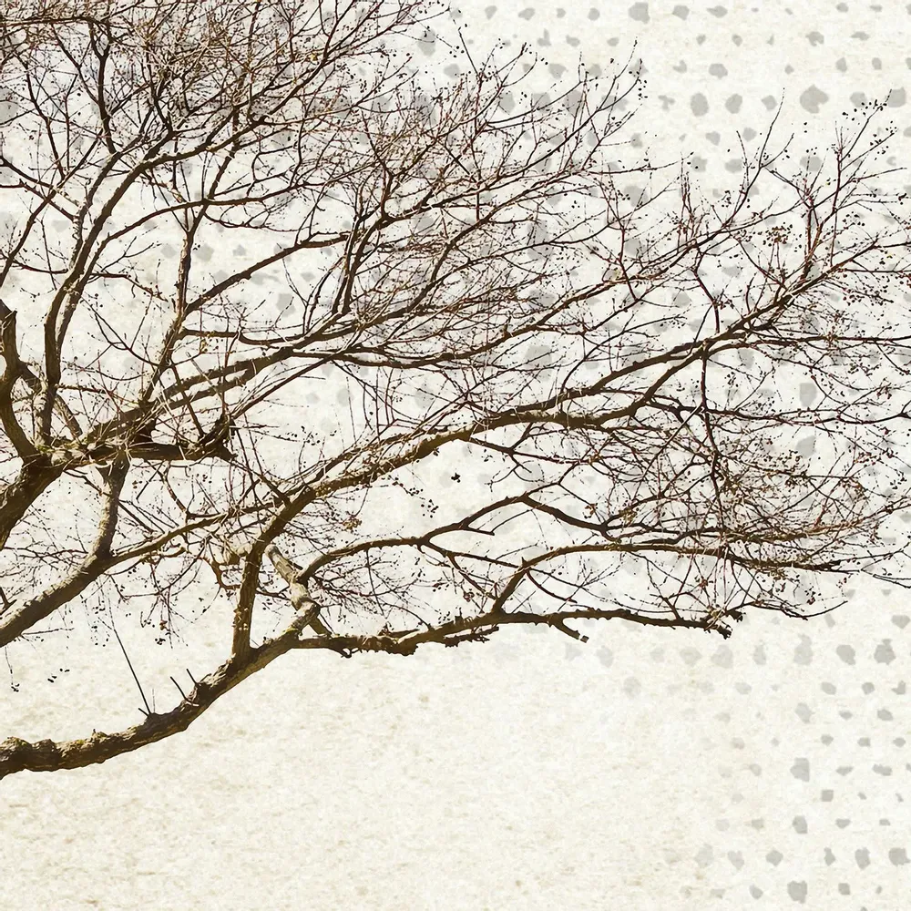 Tapisseries - Papier peint panoramique Natura - LE PAPIERS DE NINON