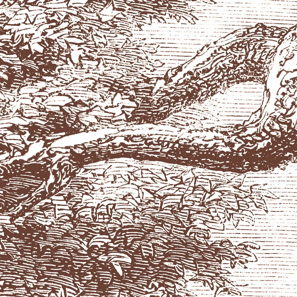 Tapisseries - Papier peint panoramique Garric - LE PAPIERS DE NINON