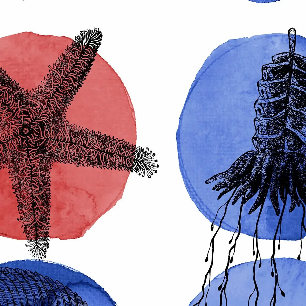 Tapisseries - Papier peint panoramique Sea Star XL - LE PAPIERS DE NINON