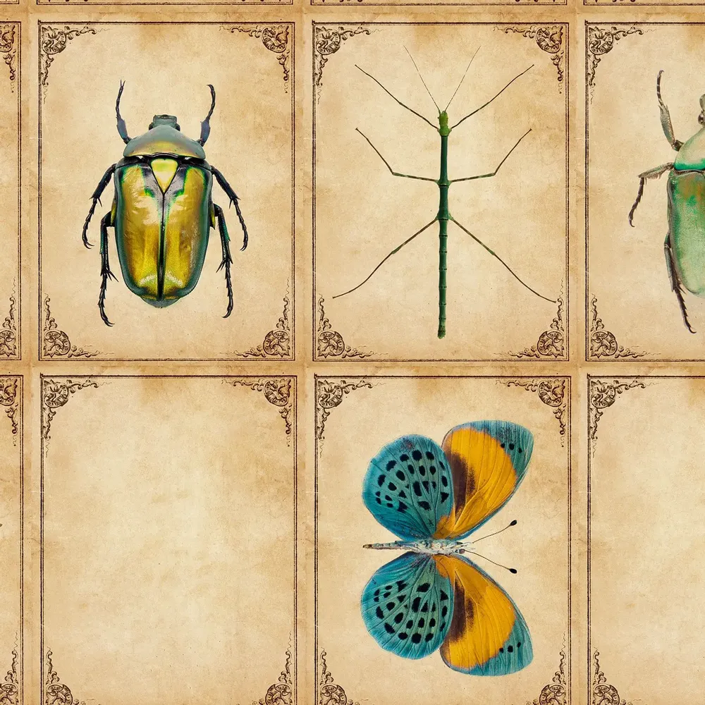 Tapisseries - Papier peint panoramique Insectarium - LE PAPIERS DE NINON