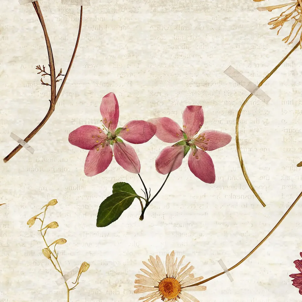 Tapisseries - Papier peint panoramique Herbarium - LE PAPIERS DE NINON