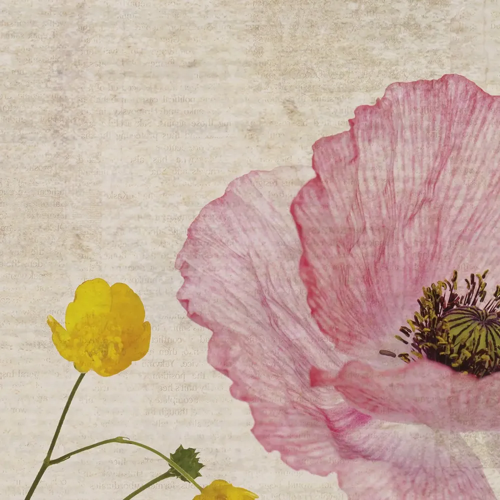 Tapestries - Valensole Gardens XXL panoramic wallpaper - LE PAPIERS DE NINON