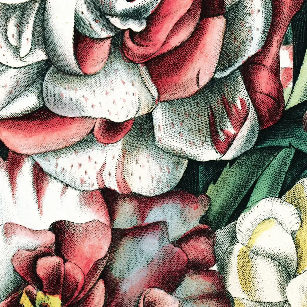 Tapisseries - Papier peint panoramique Balsamines - LE PAPIERS DE NINON