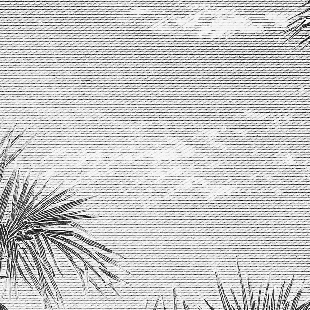 Tapisseries - Papier peint panoramique Caladesi Bay - LE PAPIERS DE NINON