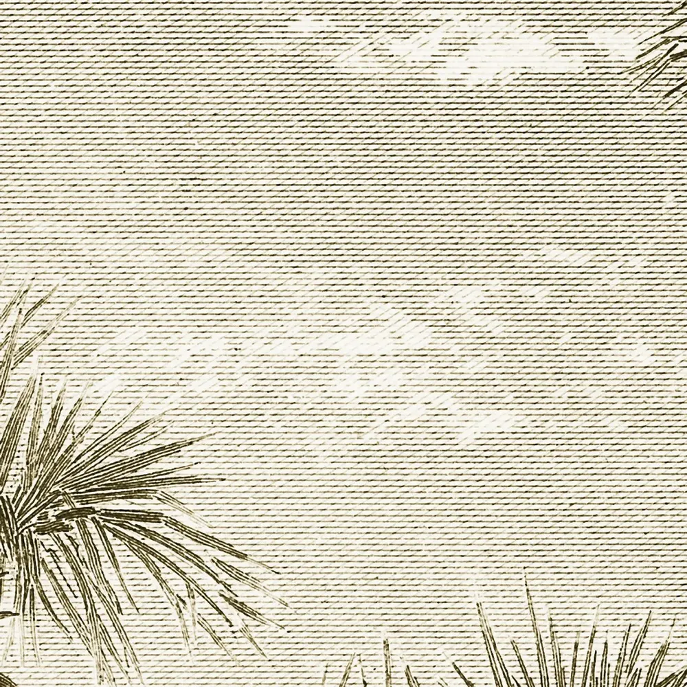 Tapisseries - Papier peint panoramique Caladesi Bay - LE PAPIERS DE NINON