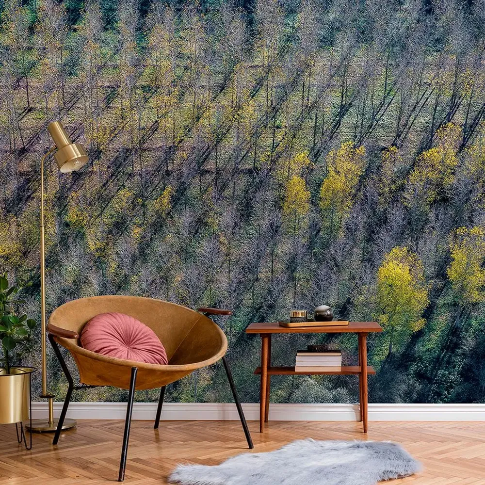 Tapisseries - Papier peint panoramique Peupleraie - LE PAPIERS DE NINON