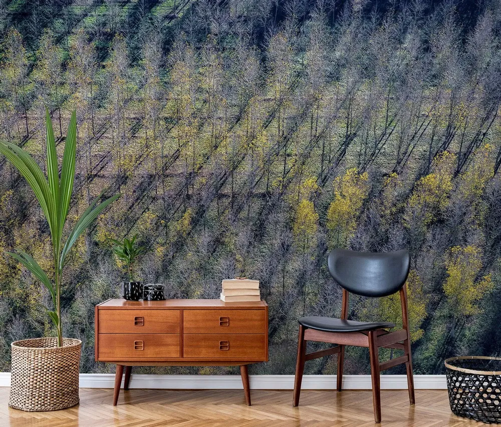 Tapisseries - Papier peint panoramique Peupleraie - LE PAPIERS DE NINON