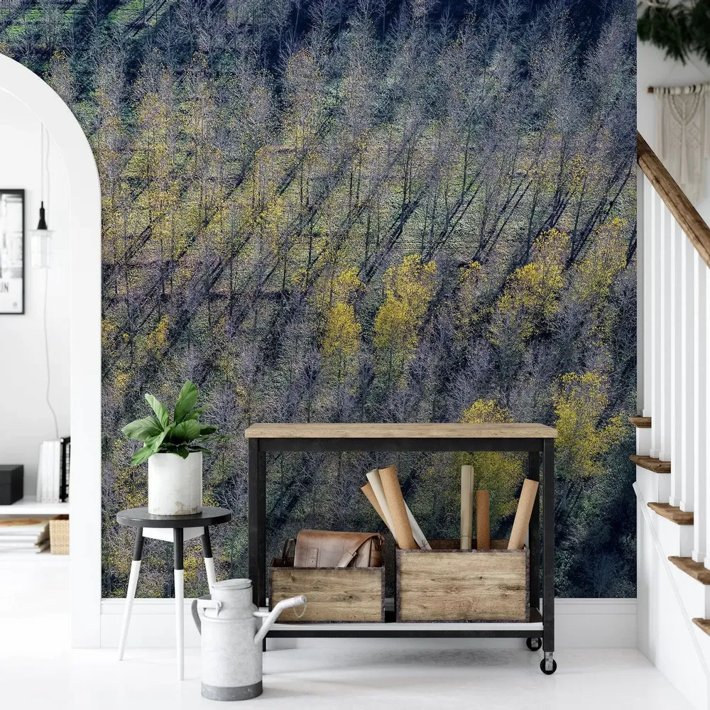 Tapisseries - Papier peint panoramique Peupleraie - LE PAPIERS DE NINON