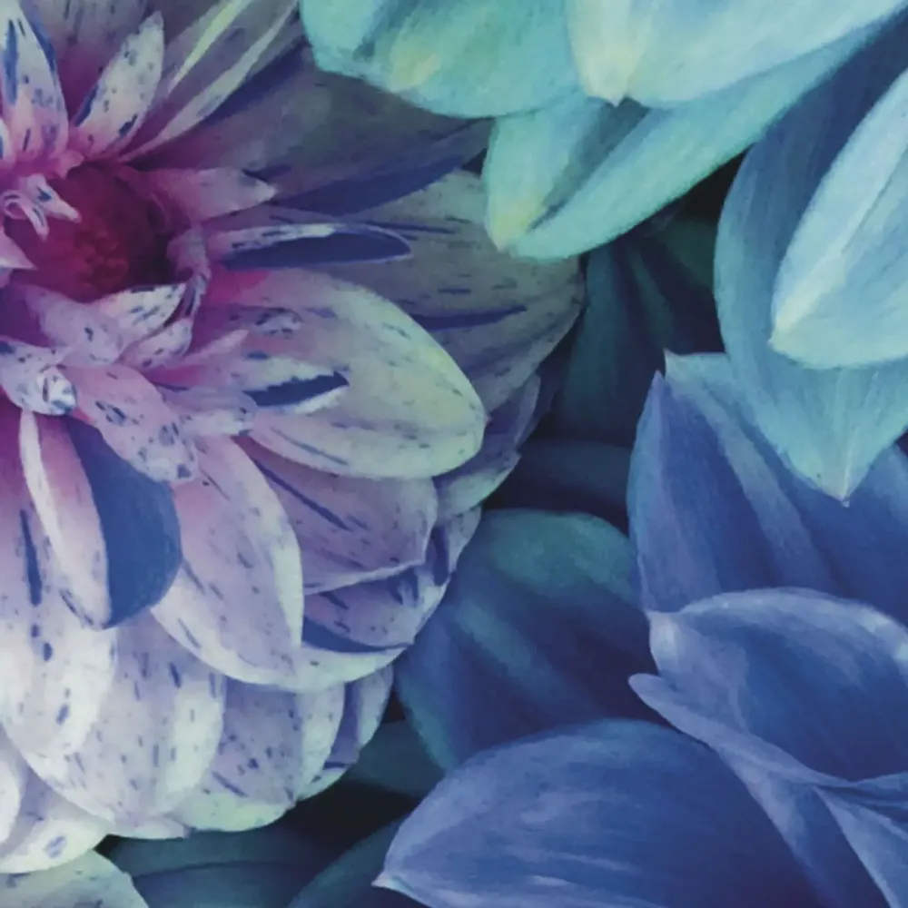 Tapisseries - Papier peint panoramique Dahlia Bleu - LE PAPIERS DE NINON