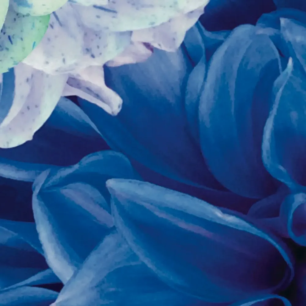 Tapisseries - Papier peint panoramique Dahlia Bleu Xl - LE PAPIERS DE NINON