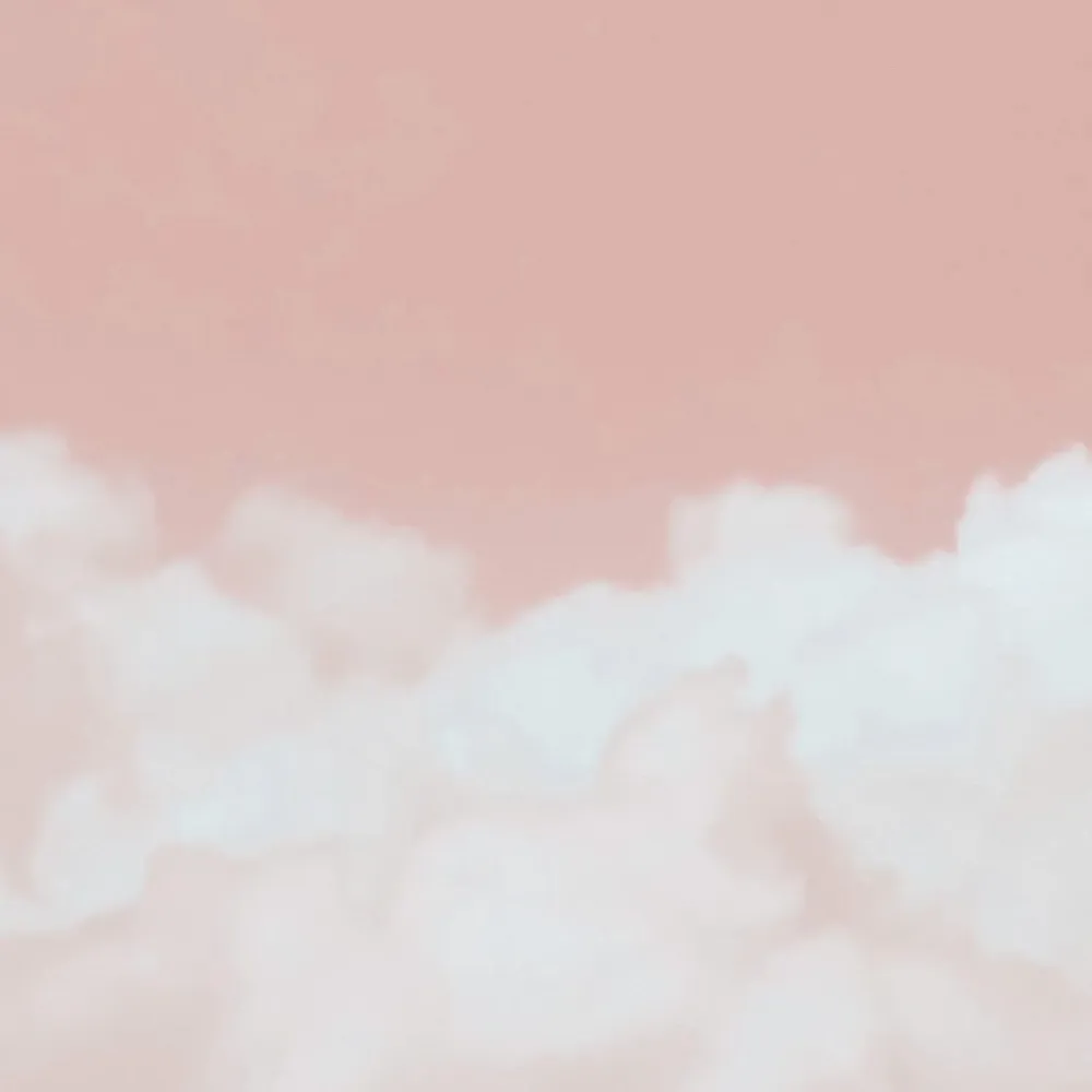 Tapisseries - Papier peint panoramique Songeen - LE PAPIERS DE NINON