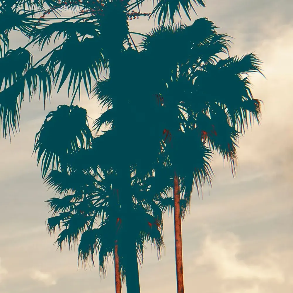 Tapisseries - Papier peint panoramique Caraïbes - LE PAPIERS DE NINON